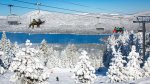 Skiing and Snowboarding through Beautiful Terrain